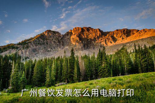 如何打印餐飲發票嗎，廣州餐飲發票怎么用電腦打印