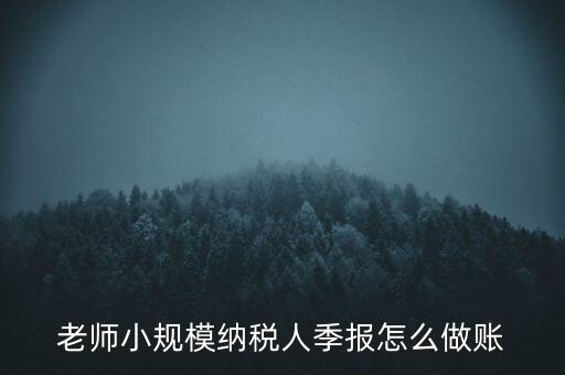 老師小規模納稅人季報怎么做賬