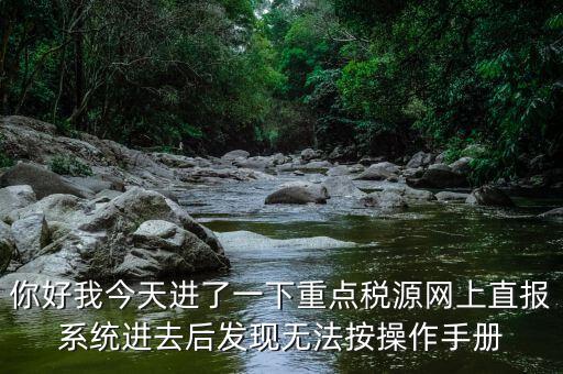你好我今天進了一下重點稅源網上直報系統進去后發現無法按操作手冊