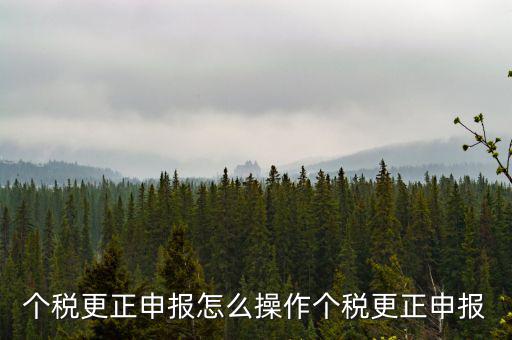 福建個(gè)人所得稅如何申報(bào)更正，個(gè)稅申報(bào)錯(cuò)了如何更正