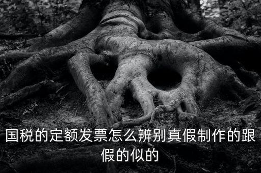 國稅的定額發票怎么辨別真假制作的跟假的似的