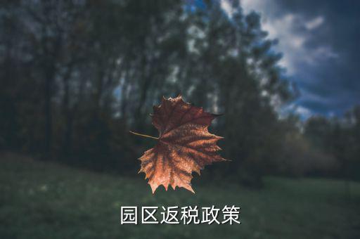 開發區企業如何返稅，天津經濟技術開發區的退稅大廳在哪