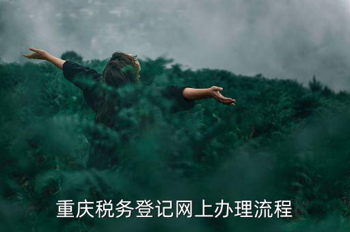 重慶電子稅務局如何報稅，電子稅務局0申報報稅的步驟