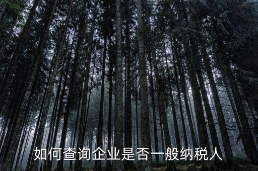 如何查詢企業是否一般納稅人