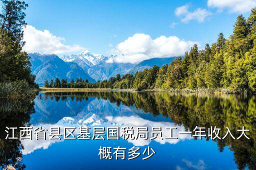 江西省縣區基層國稅局員工一年收入大概有多少