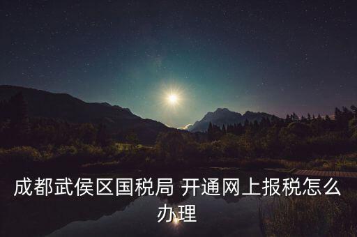 成都武侯區國稅局 開通網上報稅怎么辦理