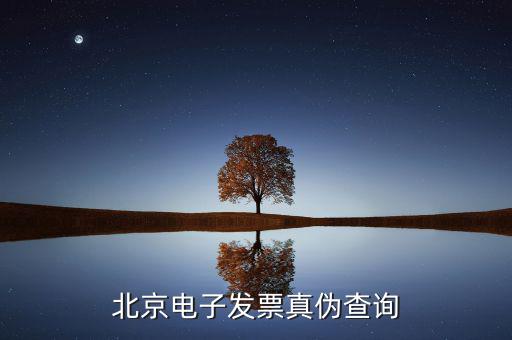 北京電子發票真偽查詢