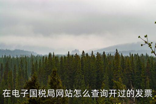 在電子國稅局網站怎么查詢開過的發票