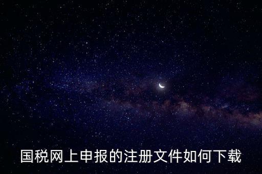 國稅網上申報的注冊文件如何下載