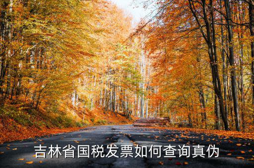吉林如何查發票真偽查詢，吉林省國稅發票如何查詢真偽