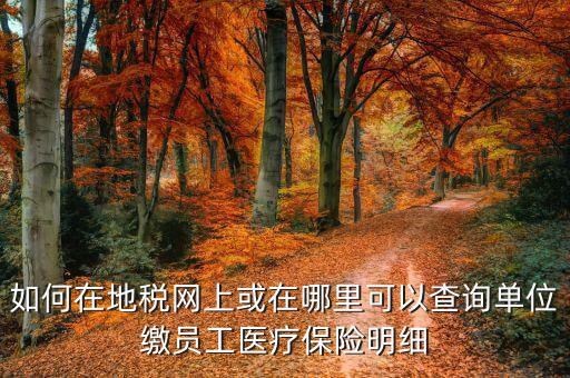 如何在地稅網上或在哪里可以查詢單位繳員工醫療保險明細