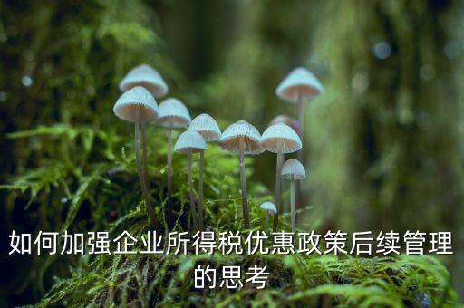 如何加強企業所得稅優惠政策后續管理的思考