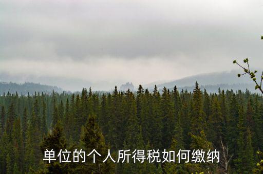 企業個人所得稅如何繳納，私營企業職工個人所得稅如何繳納
