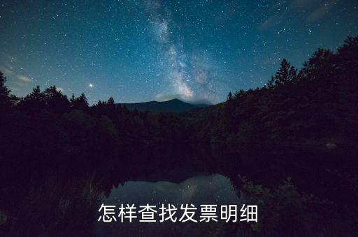 怎樣查找發票明細