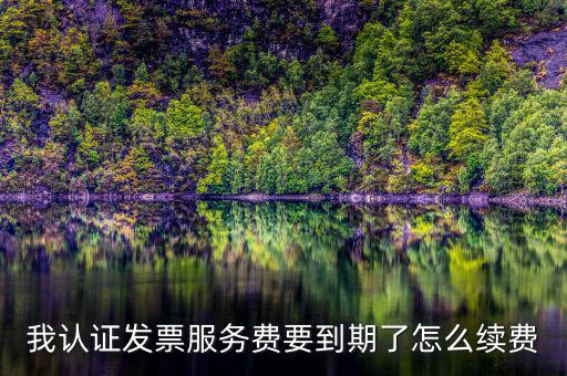 我認證發票服務費要到期了怎么續費