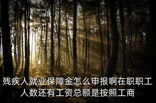 殘疾人就業保障金怎么申報啊在職職工人數還有工資總額是按照工商