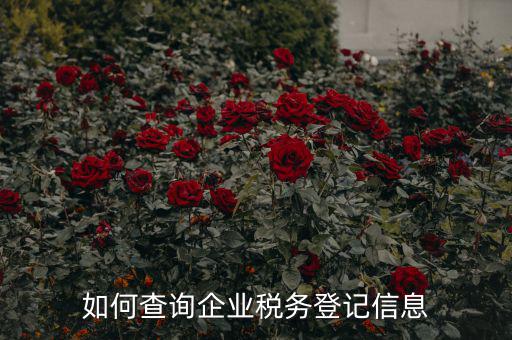 如何查詢企業稅務登記信息
