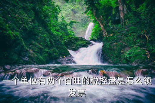 一個單位有兩個百旺的稅控盤是怎么領發票