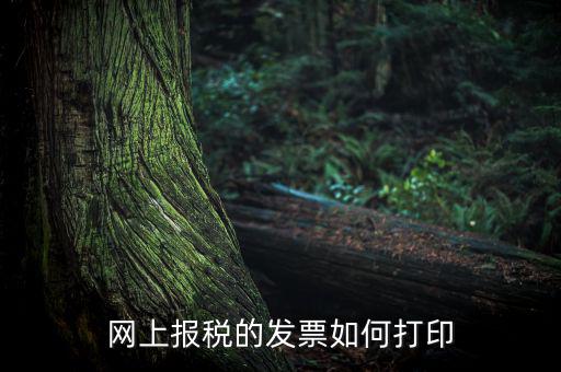 網上報稅的發票如何打印