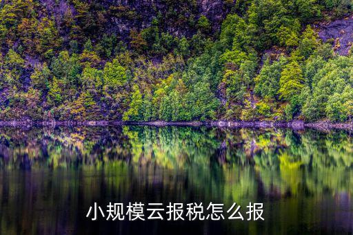 如何在云辦稅廳報稅，小規模云報稅怎么報