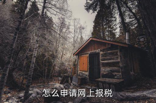 怎么申請網上報稅