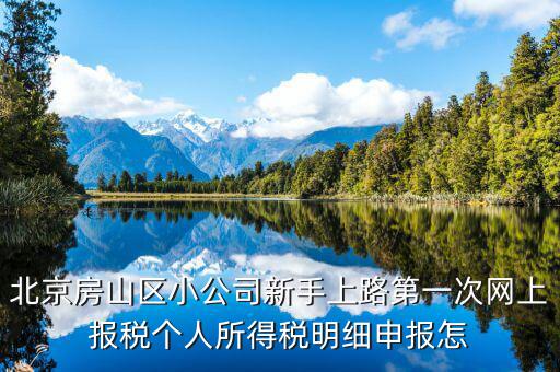 北京網上申報后如何繳稅，地稅國稅的網上繳稅怎么繳