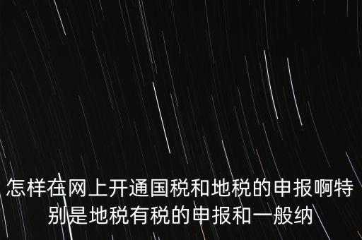 怎樣在網上開通國稅和地稅的申報啊特別是地稅有稅的申報和一般納
