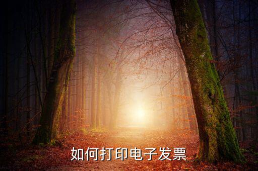 如何將電子發票，發票怎么以電子形式發給