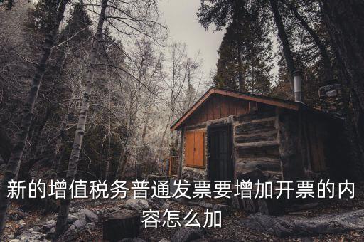 新的增值稅務普通發票要增加開票的內容怎么加