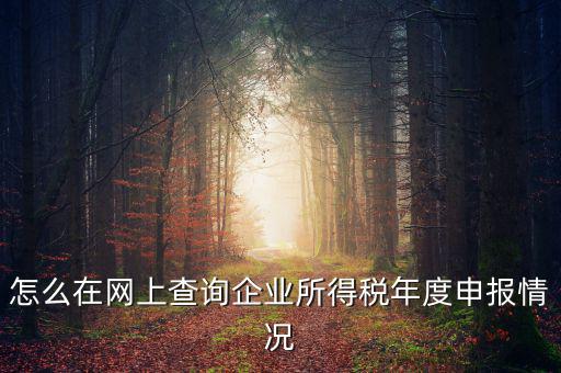 怎么在網上查詢企業所得稅年度申報情況