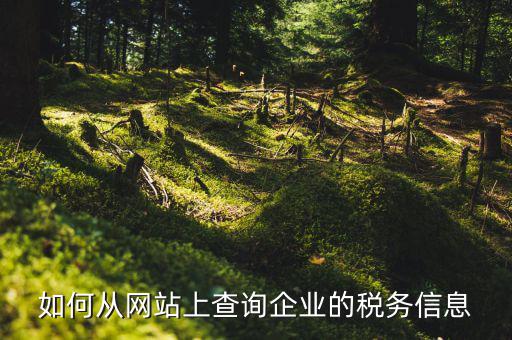 如何從網站上查詢企業的稅務信息