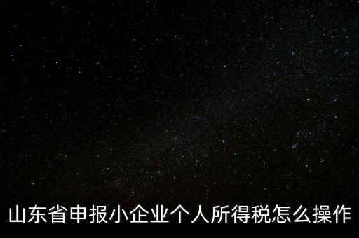 山東省申報小企業個人所得稅怎么操作
