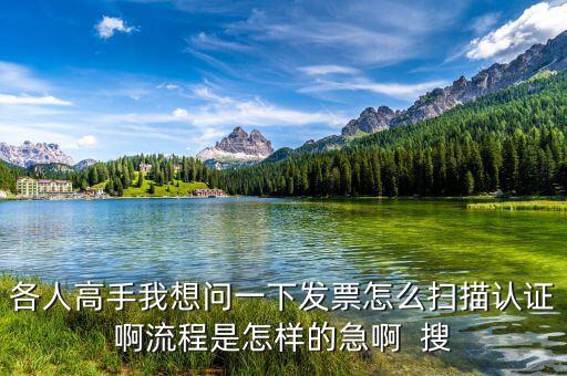 如何掃描認證發(fā)票，各人高手我想問一下發(fā)票怎么掃描認證啊流程是怎樣的急啊  搜