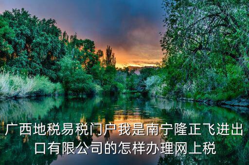 廣西地稅易稅門戶我是南寧隆正飛進出口有限公司的怎樣辦理網上稅
