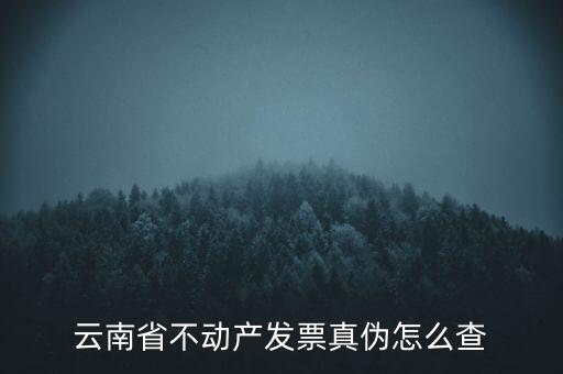 不動產統一發票如何查詢真偽，銷售不動產統一發票真假怎么辨別