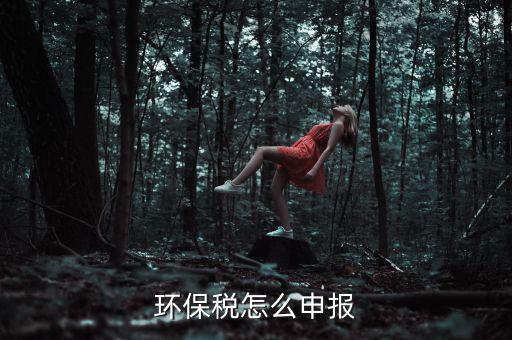 環保稅怎么申報