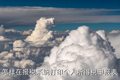 怎樣在報稅系統打印個人所得稅申報表
