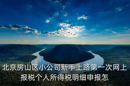 北京市網上稅務局如何報稅，北京稅務局網上報到怎么操作