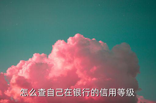 如何查納稅人信用等級，如何確認企業為納稅信用A級增值稅一般納稅人
