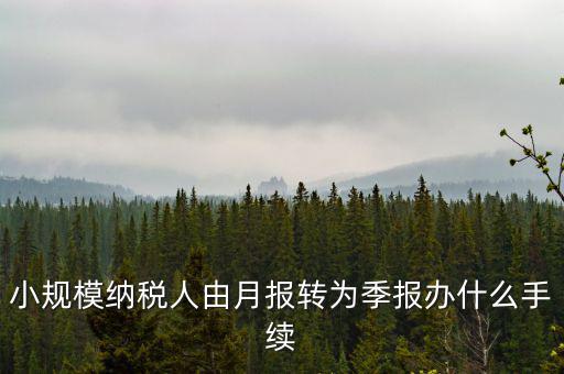 小規模附加稅如何改成按季申報，小規模納稅人增值稅按月申報可以改為按季度申報嗎