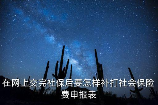 在網上交完社保后要怎樣補打社會保險費申報表