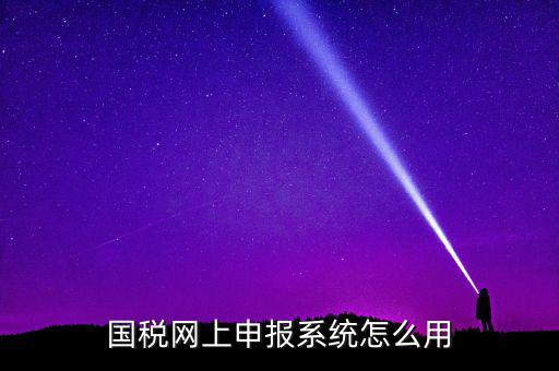 國稅網上申報系統怎么用