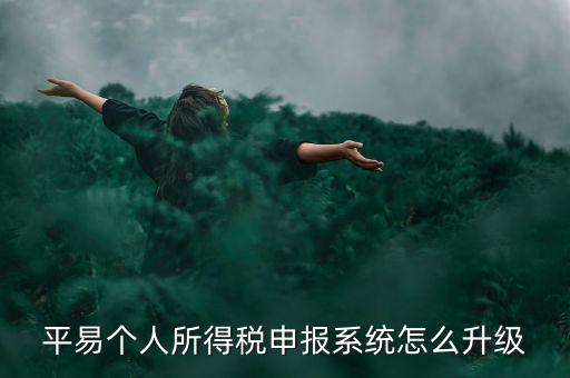 個稅如何在線升級，個稅系統的版本號V12146如何升級V12159