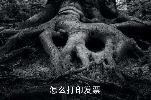 億企贏攜稅寶發票如何打印，這樣怎么打印電子發票