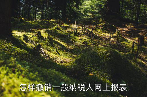 怎樣撤銷一般納稅人網上報表