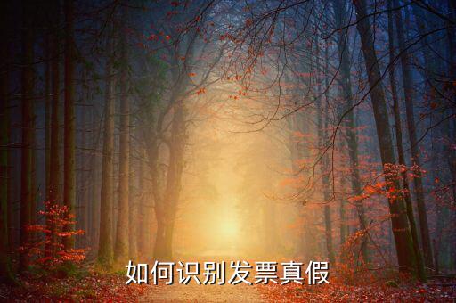 深圳國稅局發票如何查詢真偽查詢，如何在認證前查驗發票真偽