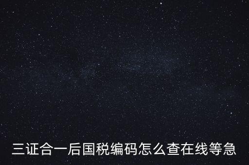 如何查詢個(gè)人稅務(wù)編號(hào)查詢系統(tǒng)，請問在哪里可以查到納稅人編碼