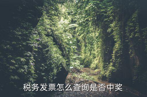 稅務發票怎么查詢是否中獎