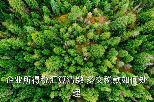 企業所得稅匯算清繳 多交稅款如何處理