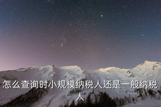怎么查詢時小規模納稅人還是一般納稅人
